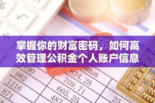 闽清掌握你的财富密码，如何高效管理公积金个人账户信息
