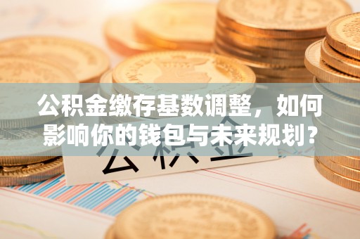闽清公积金缴存基数调整，如何影响你的钱包与未来规划？