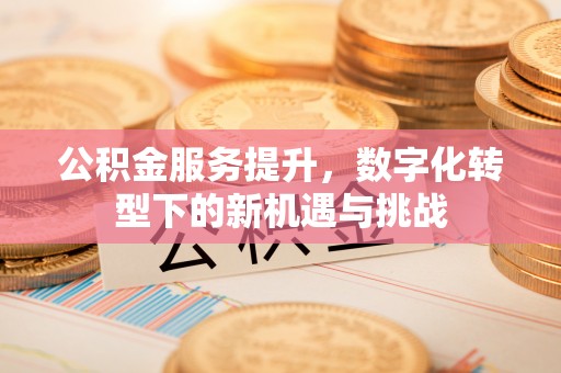 闽清公积金服务提升，数字化转型下的新机遇与挑战