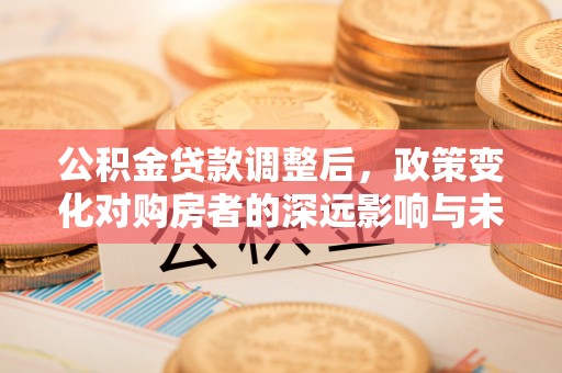 闽清公积金贷款调整后，政策变化对购房者的深远影响与未来趋势分析