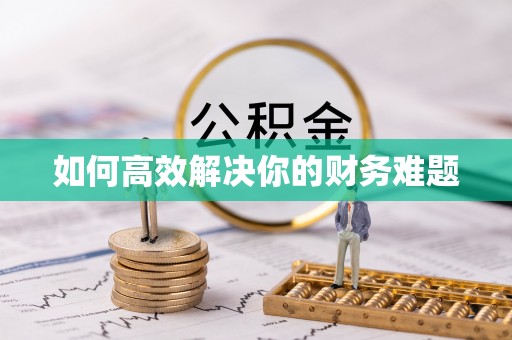 闽清如何高效解决你的财务难题