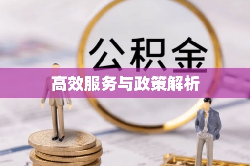 闽清高效服务与政策解析