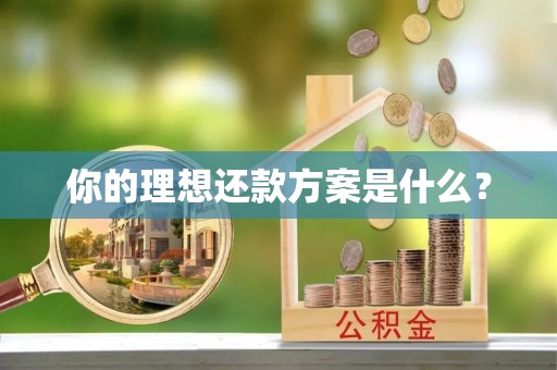 闽清你的理想还款方案是什么？