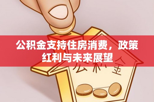 闽清公积金支持住房消费，政策红利与未来展望