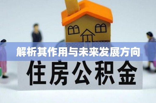 闽清解析其作用与未来发展方向