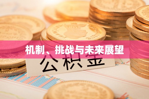 闽清机制、挑战与未来展望